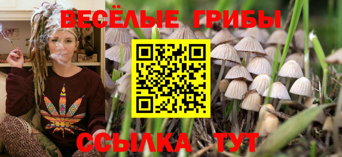 Псилоцибиновые грибы GOLDEN TEACHER  Псилоцибиновые грибы мухоморы  Вход с VPN  Тверь 